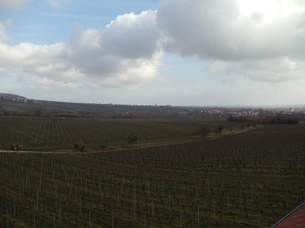 Weinhotel Kienle Burrweiler Exterior foto